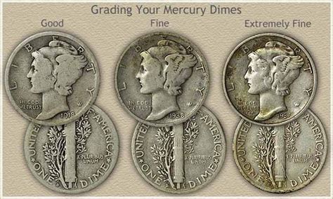 Mercury Dime Grading | Rare coins worth money, Old coins worth money ...