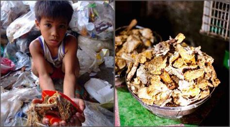 Pagpag-The-real-meaning-of-Junk-Food | DPO International