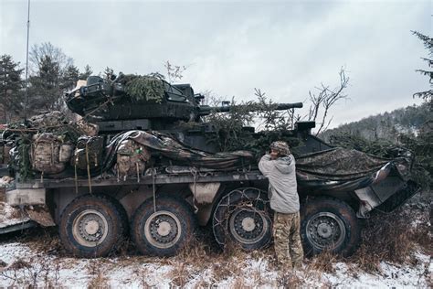 DVIDS - Images - 2CR M1296 Stryker Camouflage [Image 20 of 20]