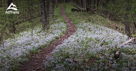 Best Trails near Malta, Ohio | AllTrails