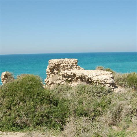 Ashkelon national park - All You Need to Know BEFORE You Go (2024)