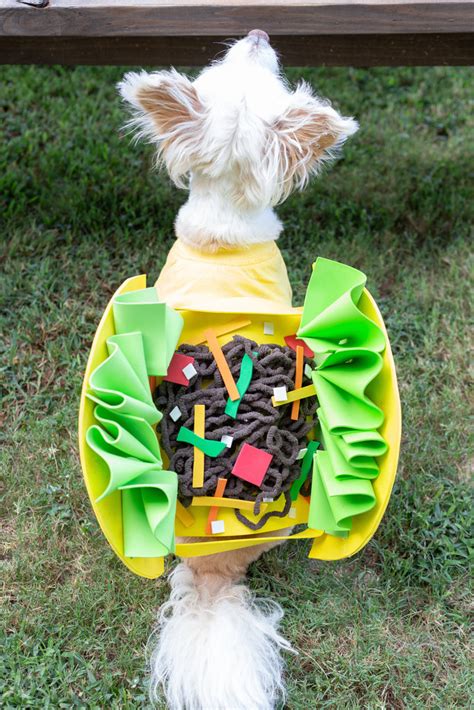 DIY Taco Dog Costume – Craft Box Girls