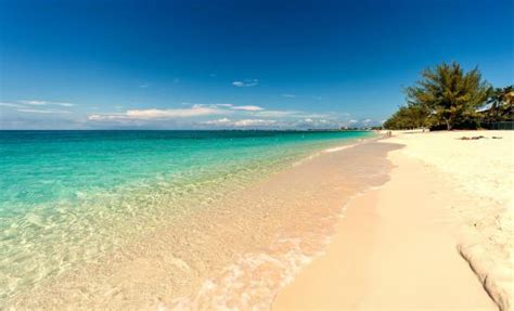 The 10 Best Grand Cayman Excursions & Island Tours