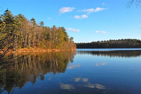 A beautiful view of Walden Pond.-- Thoreau spent his last years revising and editing his ...