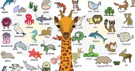 Animal Names | Types of Animals | List of Animals • 7ESL