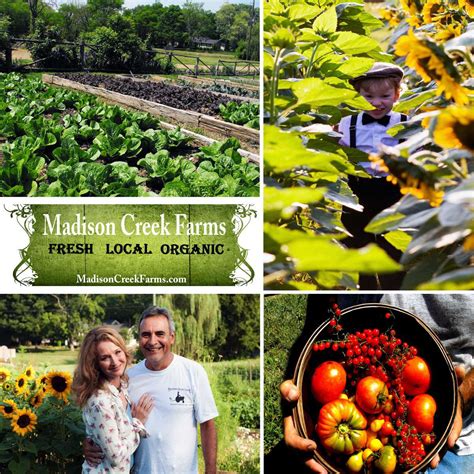 Madison Creek Farms | Goodlettsville TN
