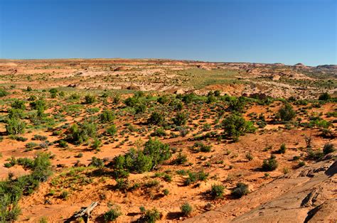 Peek-A-Boo Gulch, Spooky Gulch, Brimstone Gulch, and Dry Fork Narrows - Your Hike Guide