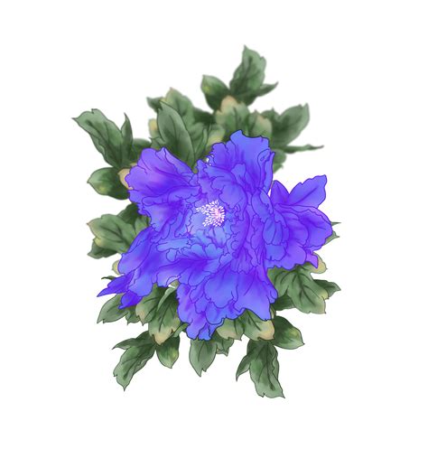 Hand painted violet peony flower included dark green leaves and blur green leaves behind ...