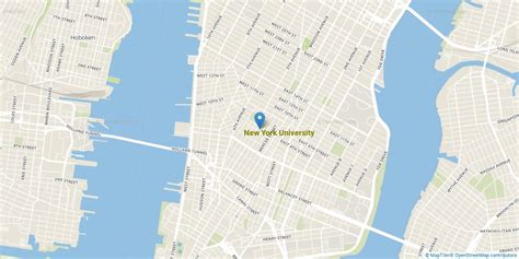 New York University Overview - Course Advisor