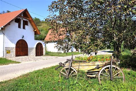 Tokaj: The First Official Wine Region in Europe - 3 Seas Europe