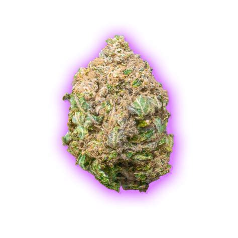 G-13 Indica Strain - Vancouver Free Same Day Delivery Ganja Guru