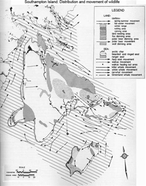 Southampton Island: distribution and movement of wildlife SOURCE:... | Download Scientific Diagram