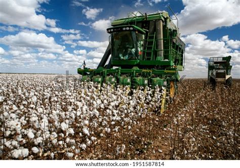 14,700 Cotton Farming Images, Stock Photos & Vectors | Shutterstock