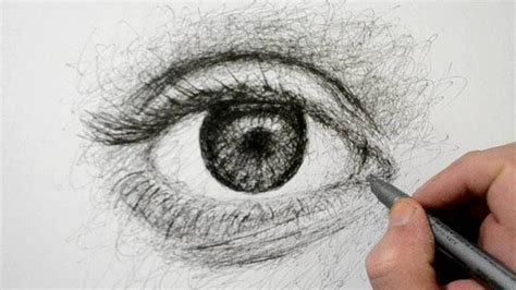 Drawing a Realistic Eye with a Pen - Scribble Art Drawing - YouTube