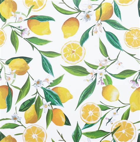 Lemon Art Wallpapers - Top Free Lemon Art Backgrounds - WallpaperAccess