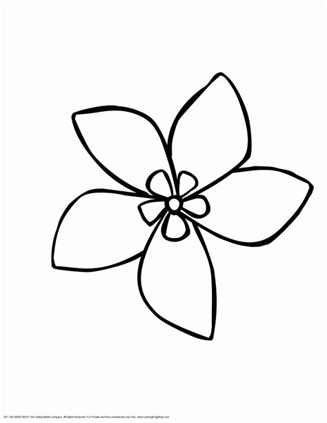 draw a hawaii flower - Clip Art Library