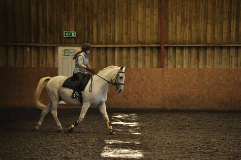 Riding Lessons for beginners & experienced riders — SJ Equestrian ...