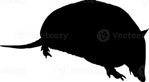 armadillo silhouette side view 23266020 PNG