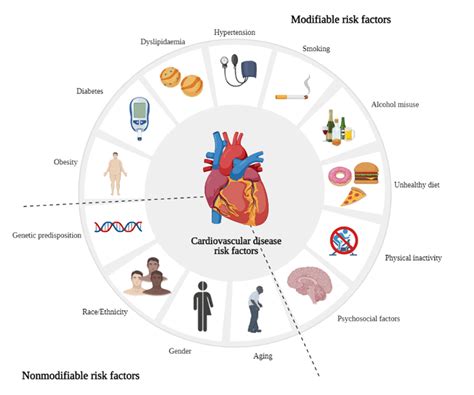 Cardiovascular Disease Symptoms Causes Types Risk Fac - vrogue.co