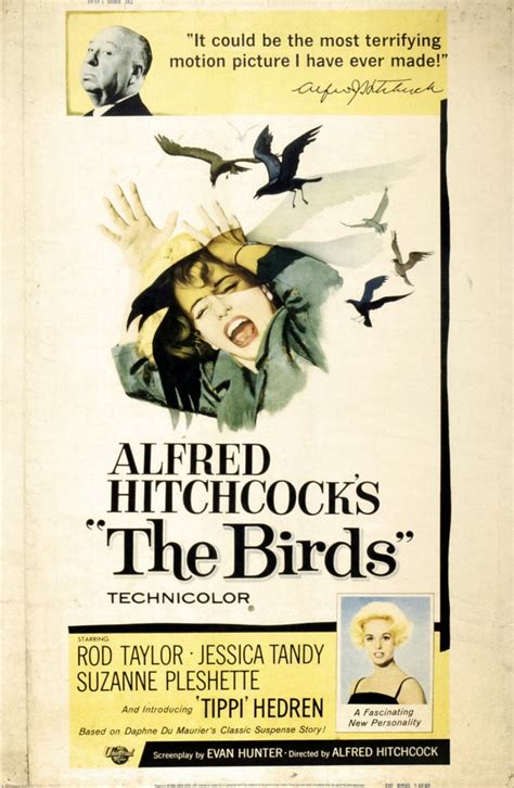 Vintage Publicity Posters for "The Birds" ~ Vintage Everyday