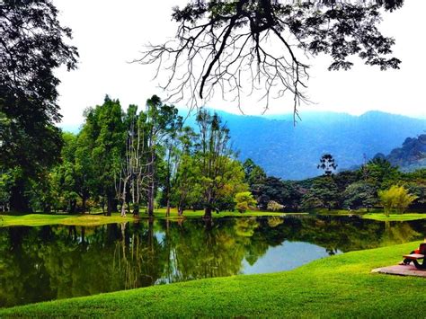 A view at Taiping Lake Garden | Smithsonian Photo Contest | Smithsonian Magazine