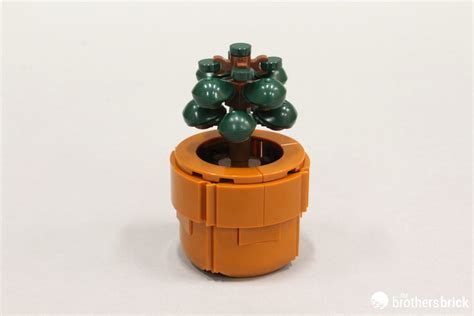 LEGO Icons Botanical Collection 10329 Tiny Plants - TBB Review - (17) - The Brothers Brick | The ...