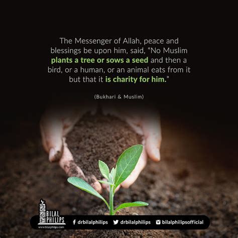 Even planting a tree is charity (Hadith Bukhari Muslim) - English | Ummat-e-Nabi.com