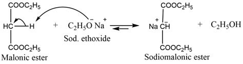 Malonic ester synthesis, mechanism and application - Chemistry Notes