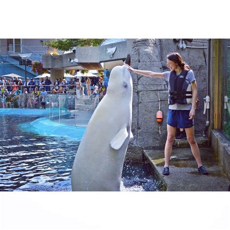 Beluga Whale Encounter at Vancouver Aquarium. This experience was one I ...