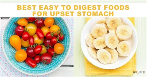 Best Easy To Digest Foods For Upset Stomach - NourishDoc