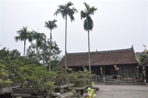 The architecture of traditional roofs in Vietnam - BambuBuild