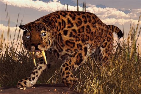 Sabre-toothed cats may have been surprisingly social and sharing ...