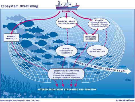 Overfishing