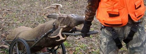 10 Best Deer Carts of 2024 - Wild Trend