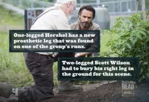 Walking Dead Hershel Quotes. QuotesGram