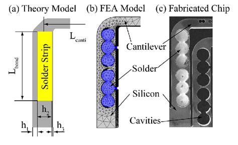 Thermal actuator models and a fabricated chip (actuator bases are... | Download Scientific Diagram