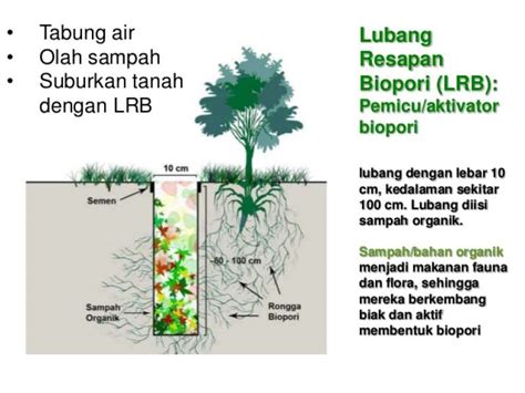 LUBANG BIOPORI PDF