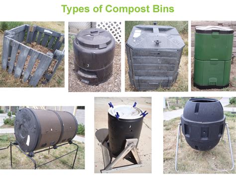 Eco-Buzz Blog: Maintaining Your Backyard Compost in the Colorado Climate