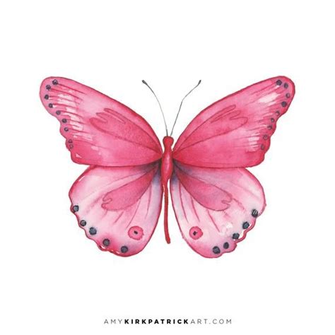 PINK GENUS BUTTERFLY #107 Watercolor Painting, Signed Art Prints, Butterfly Painting, Butterfly ...