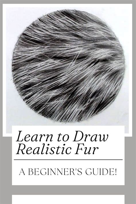 How to draw realistic fur perfect for beginners – Artofit