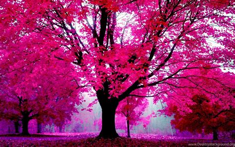 Color Tree Wallpapers - Top Free Color Tree Backgrounds - WallpaperAccess