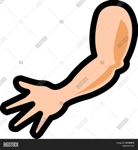 Arm Hand Elbow Vector & Photo (Free Trial) | Bigstock