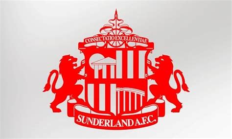 Sunderland Football Club Badge XL - Vinyl Decal Sticker: Amazon.co.uk: Car & Motorbike