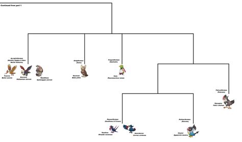 Evolution of Bird Pokemon part 2 by Blue-Heracross on DeviantArt