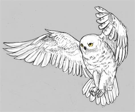 Snowy Owl by AngieMyst on DeviantArt