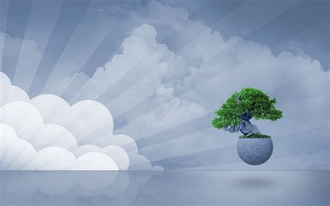 Wallpapers Box: Bonsai - Zen Tree Backgrounds \ Wallpapers HD