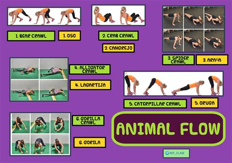 Calaméo - Animal Flow Workout