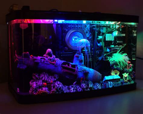 Aquarium Computer | Eleccelerator