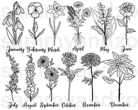 Birth Month Flower Svg Hand Drawn Botanical Clipart Floral Clipart Zodiac Flower Svg Commercial ...