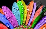 Bright colorful wallpaper (2) #1 - 1920x1200 Wallpaper Download - Bright colorful wallpaper (2 ...